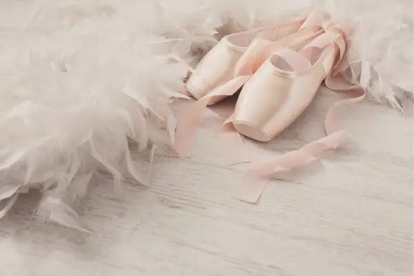 Hand-Painted Customized Shoes for Ballet Memorabilia Collectors